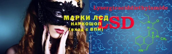спайс Инта