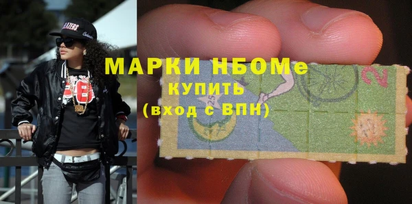 дурь Инсар
