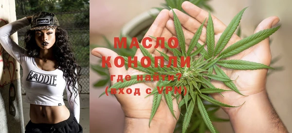 дурь Инсар