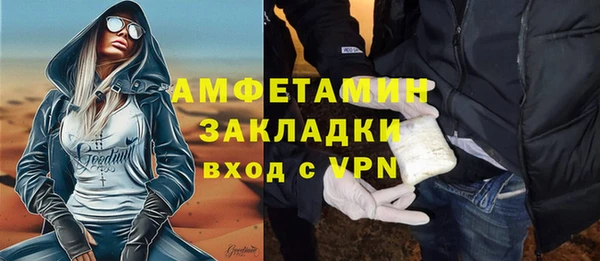 дурь Инсар