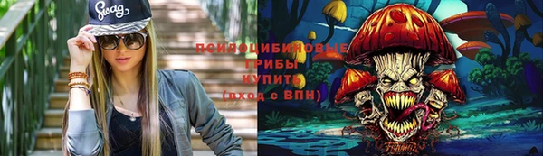 дурь Инсар